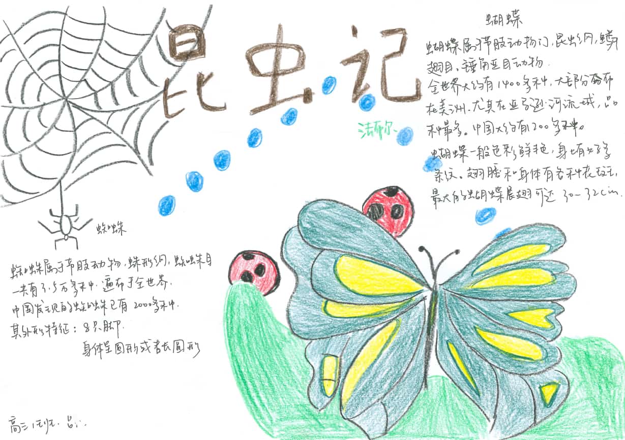 2024-25学年AP生物暑假作业——海报