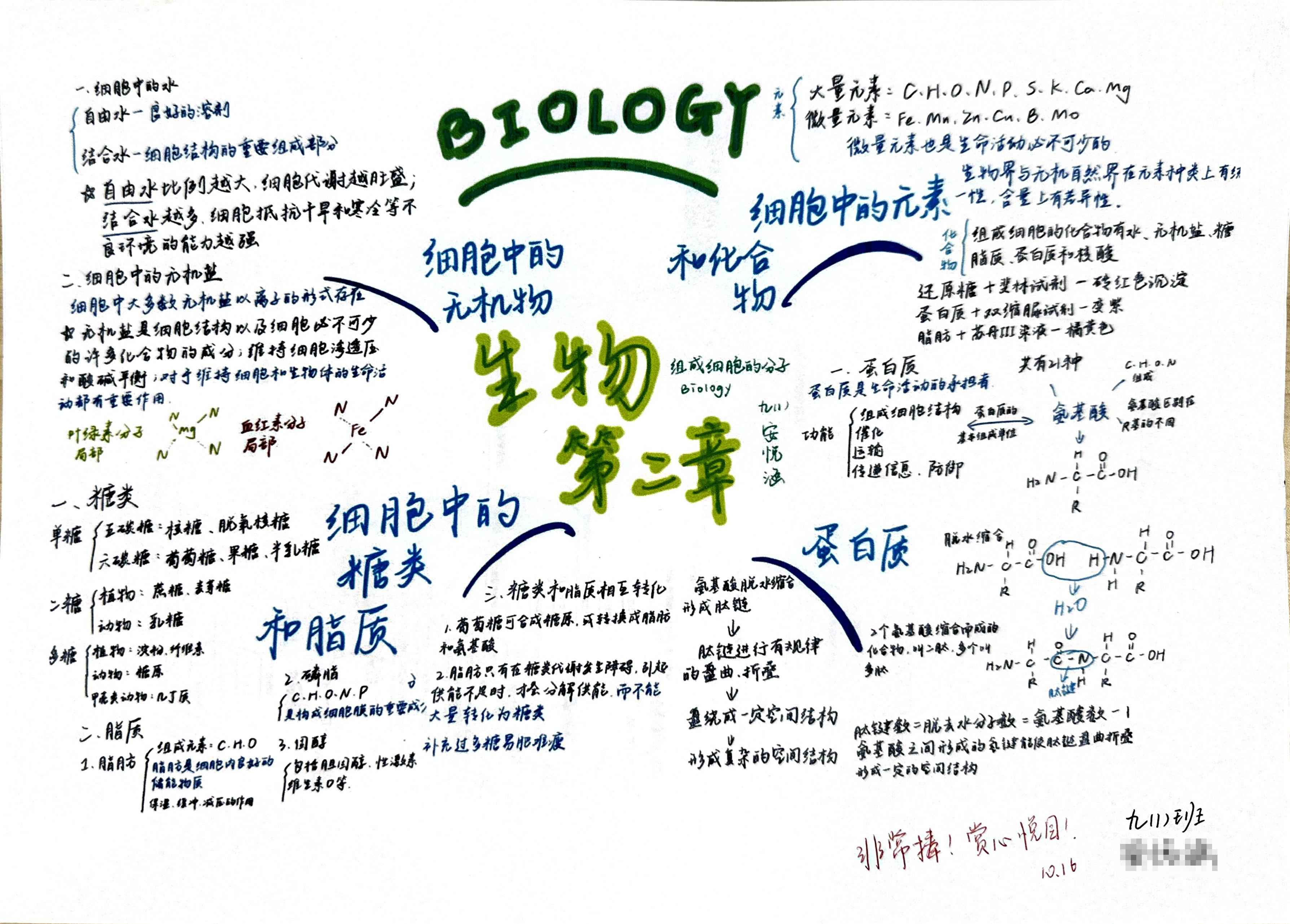 必修一前三章思维导图