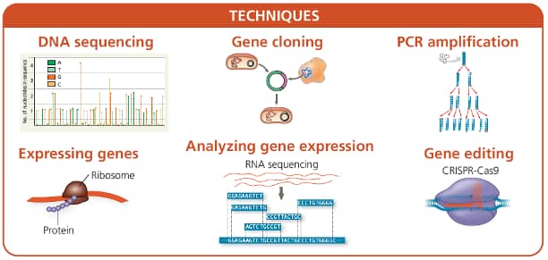 6.8 Biotechnology and Virus