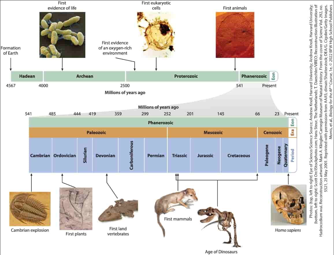 7.11 Origins of Life on Earth