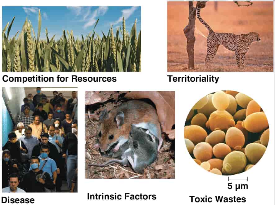 8.4 Effect of Density of Populations