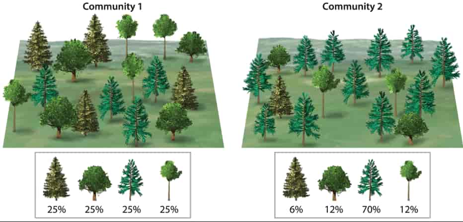 8.5 Community Ecology