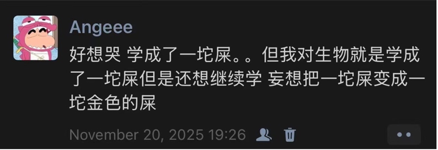 元宵万岁