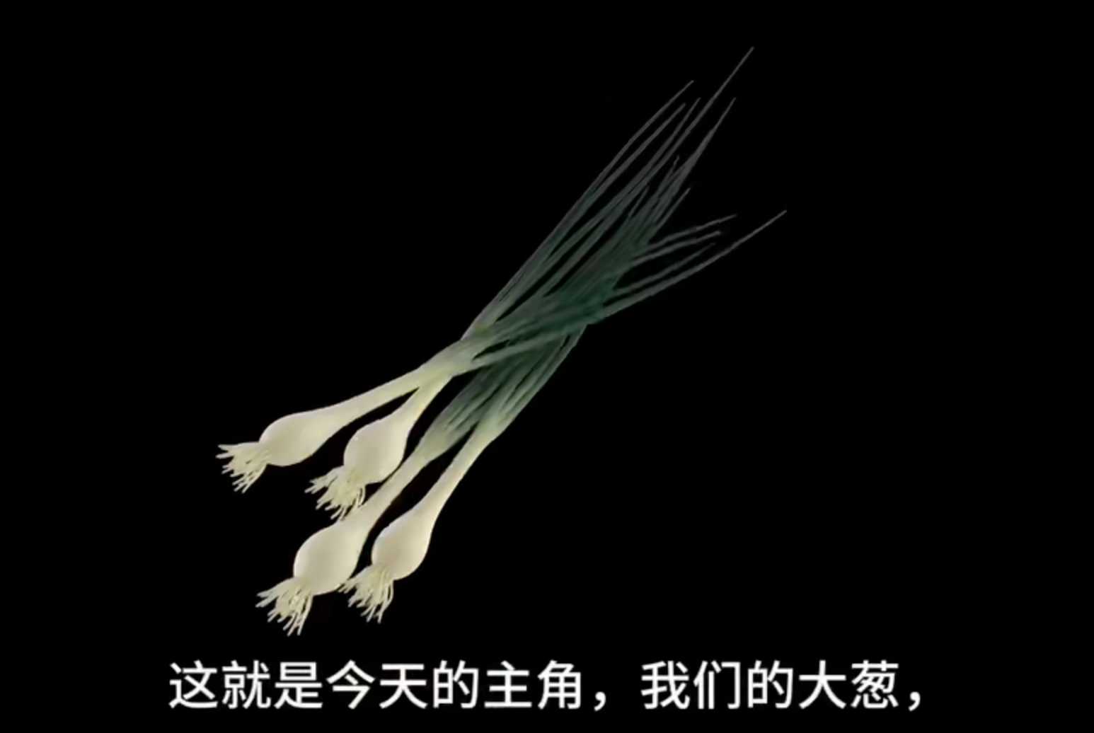 2025-26学年AP生物暑假作业——实验视频
