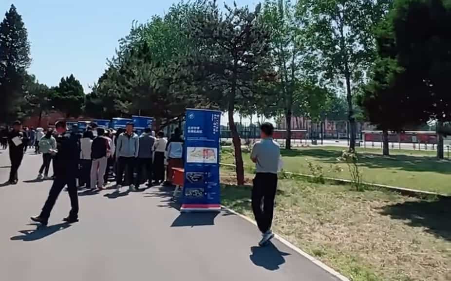 开放日热情的“显眼包们”
